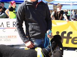 2019_ausstellung polling_334